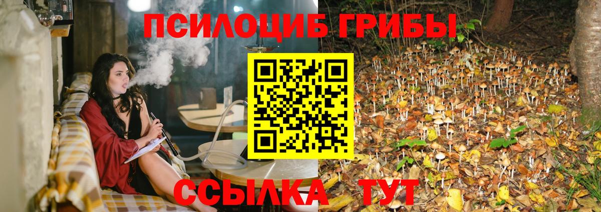 Псилоцибиновые грибы Magic Shrooms Выкса