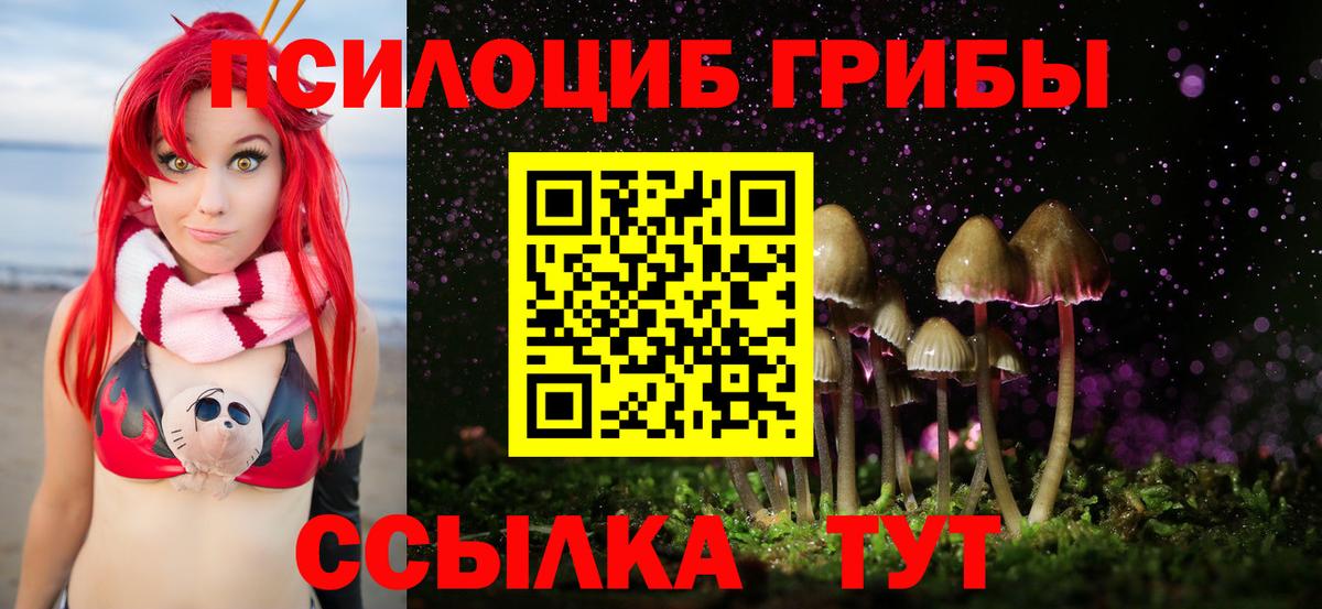 Псилоцибиновые грибы Psilocybine cubensis  Галлюциногенные грибы Magic Shrooms  Выкса  Вход с VPN 