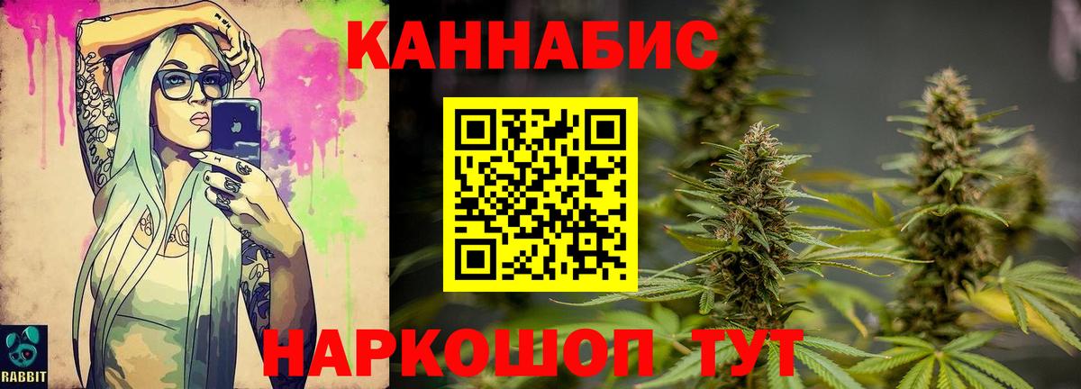 Конопля тримм  Вход с VPN  Марихуана OG Kush  Конопля конопля  Выкса  Каннабис индика 
